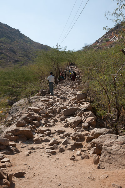 India_JanFeb_10_Ajmer_5851.jpg - On the trail to Taragarh Fort
