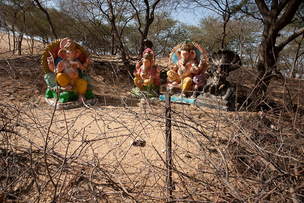 India_JanFeb_10_Pushkar_5917.jpg - Idols at start of stairs to Savitri Temple on top of the hill.