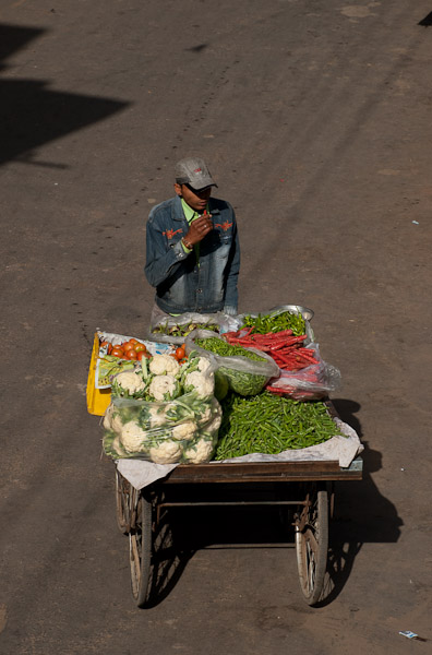 India_JanFeb_10_Pushkar_5997.jpg - Vegetable seller from where I ate breakfast