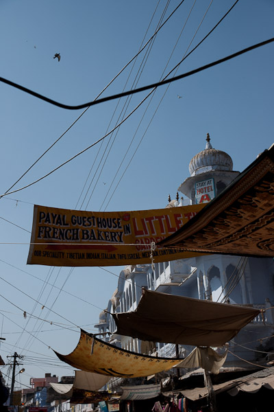 India_JanFeb_10_Pushkar_6175.jpg - Signs