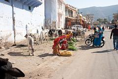 India_JanFeb_10_Pushkar_5849