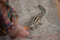 India_JanFeb_10_Pushkar_6041