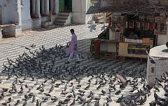 India_JanFeb_10_Pushkar_6167