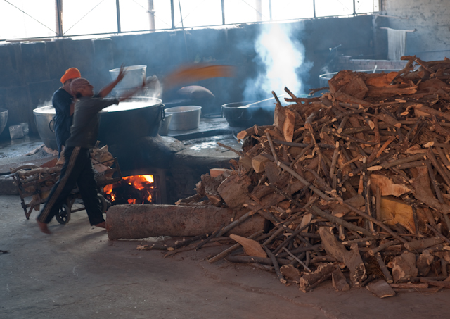 _DSC0843.jpg - Tossing firewood