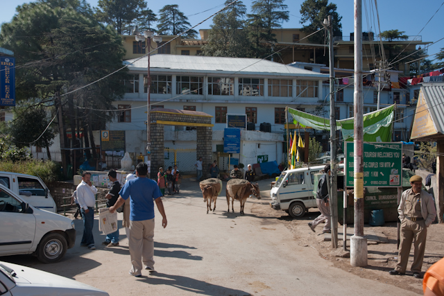 _DSC0194.jpg - The entrance to the Dalhi Lama Temple.  The temple is unpretentious.