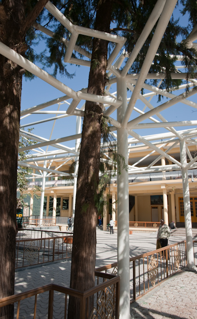 _DSC0200.jpg - Supporting framework built around trees at the courtyard of the Dalhi Lama's Temple