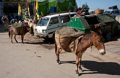 _DSC0195