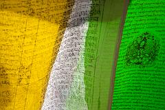 _DSC0258