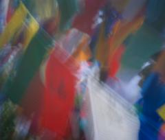 _DSC0422