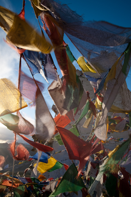 _DSC9798.jpg - SONY DSC