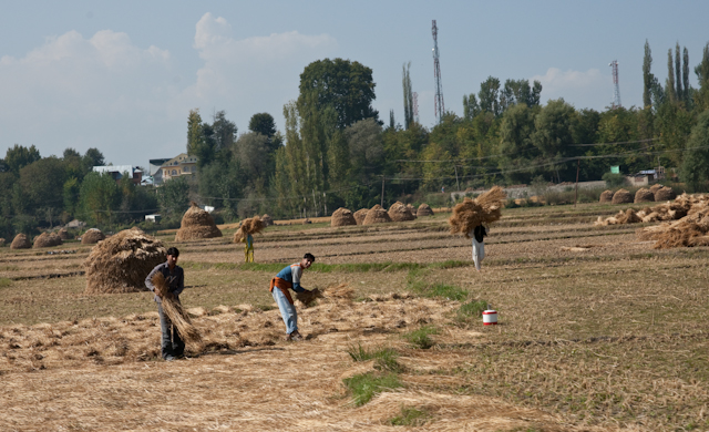 _DSC9386.jpg - Gathering the shocks