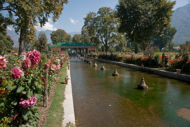 _DSC9393.jpg - Moghul Garden