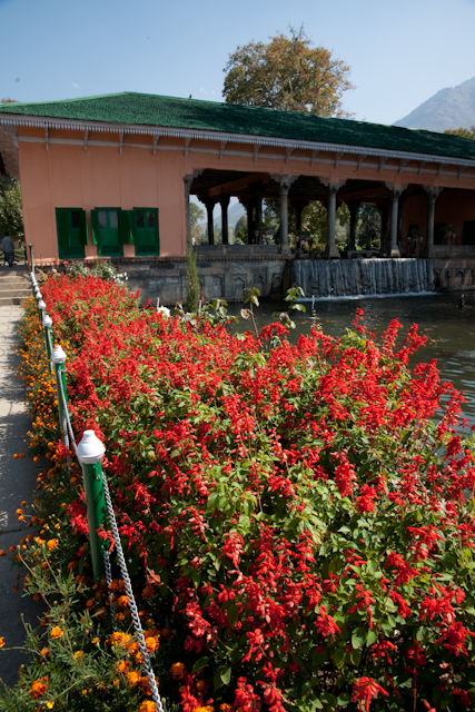 _DSC9396.jpg - Moghul Garden