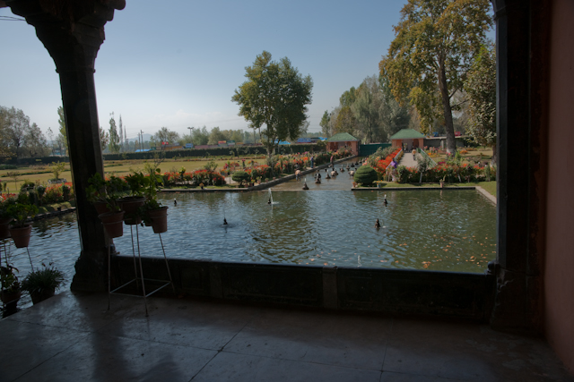 _DSC9399.jpg - Moghul Garden
