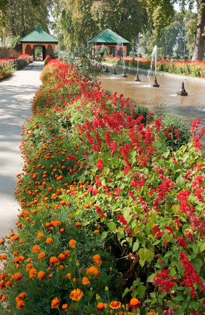 _DSC9429.jpg - Moghul Garden