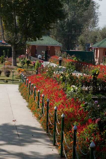 _DSC9434.jpg - Moghul Garden