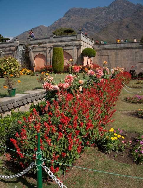 _DSC9437.jpg - Moghul Garden