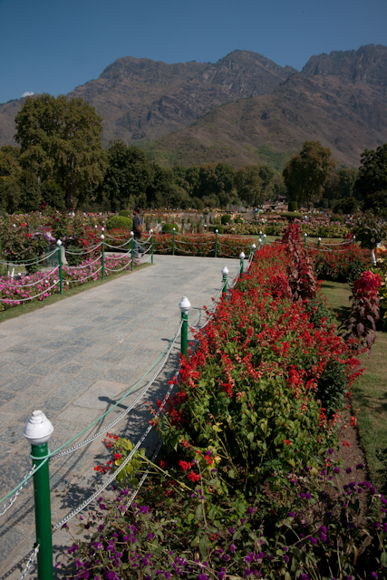 _DSC9438.jpg - Moghul Garden