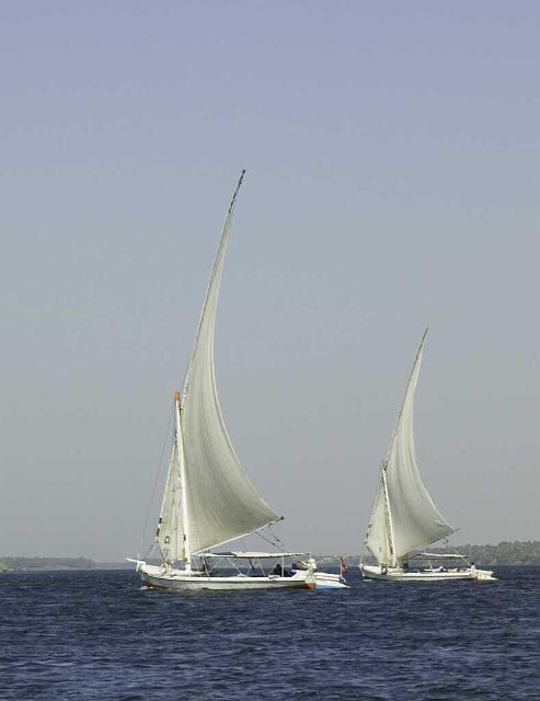 FelucaIMGP5095.jpg