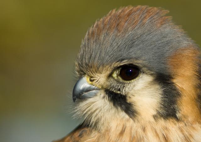 A0003164.jpg - *temp*