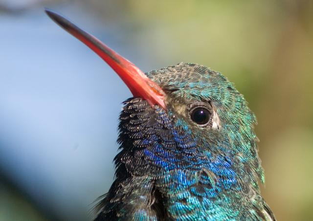 A0003308.jpg - *temp*