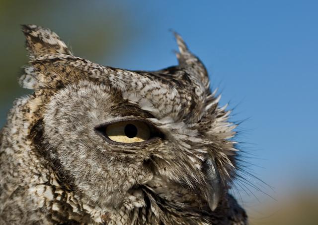 A0003358.jpg - *temp*