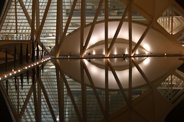 IMGP5639.jpg - Valencia Reflection Eye 14x18 framed