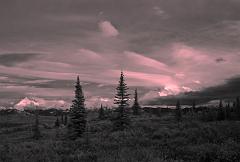 Denali_Aug_08_0827
