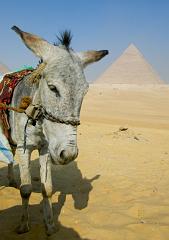 Giza_Pyramids_IMGP4542_Edit_4