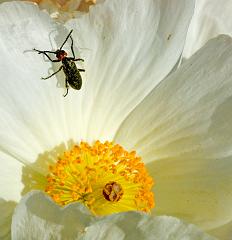 Tucson_March_05_231_2