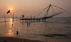 India_JanFeb_10_Cochin_7315