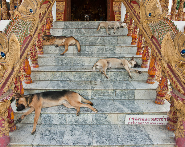 Thailand_Chiang_Mai_OctNovDec_2010_3372.jpg - Shoe Guards, Wat Bupparam, Chiang Mai, Thailand