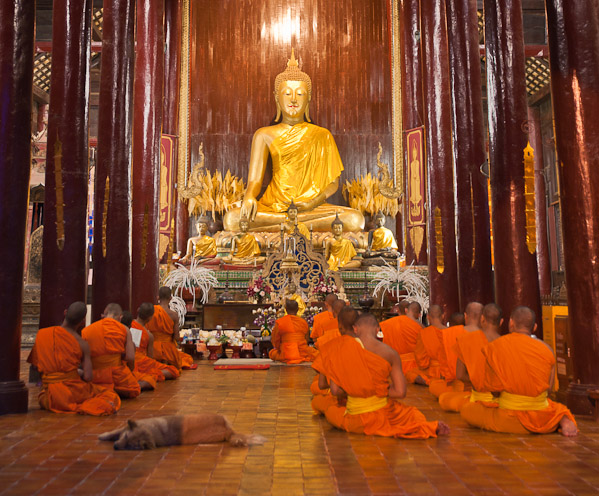 Thailand_Chiang_Mai_OctNovDec_2010_3477.jpg - Dog Chant, Wat Pahtao, Chiang Mai, Thailand