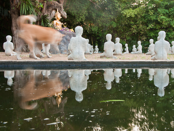 Thailand_Chiang_Mai_OctNovDec_2010_3793.jpg - Dog Garden,  Wat Pahtao, Chiang Mai, Thailand