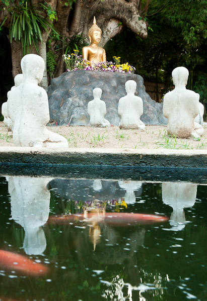 Thailand_Chiang_Mai_OctNovDec_2010_3808.jpg - Fish Garden,  Wat Pahtao, Chiang Mai, Thailand