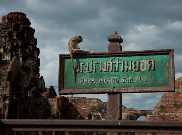 Thailand_OctNovDec_2010_Lopburi_6887.jpg