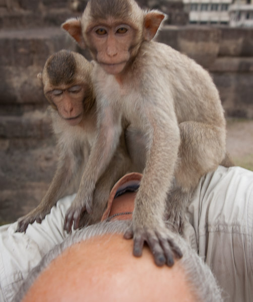 Thailand_OctNovDec_2010_Lopburi_7068.jpg - This guy must be smart!  His brain cooked his hair!
