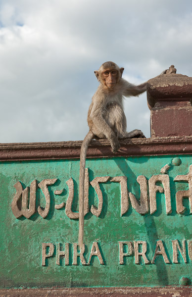 Thailand_OctNovDec_2010_Lopburi_7116.jpg