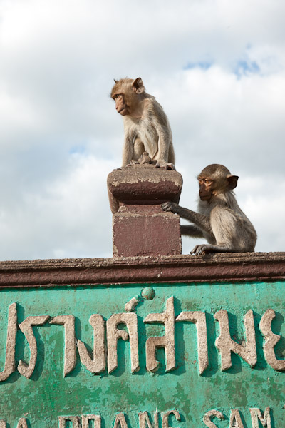 Thailand_OctNovDec_2010_Lopburi_7127.jpg