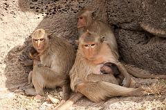 Thailand_OctNovDec_2010_Lopburi_6926