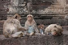 Thailand_OctNovDec_2010_Lopburi_6997