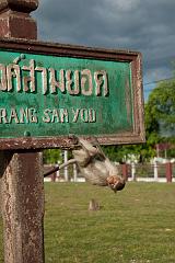 Thailand_OctNovDec_2010_Lopburi_7100