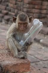 Thailand_OctNovDec_2010_Lopburi_7208