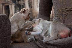 Thailand_OctNovDec_2010_Lopburi_7222