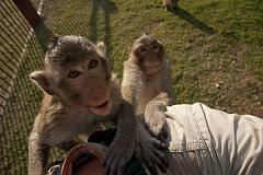 Thailand_OctNovDec_2010_Lopburi_7227