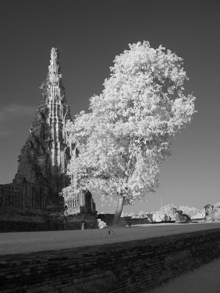 Thailand_OctNovDec_2010_Ayutthaya_Infrared_2639.jpg