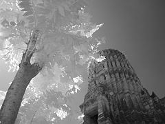 Thailand_OctNovDec_2010_Ayutthaya_Infrared_2603
