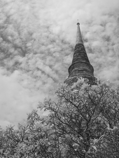 Thailand_OctNovDec_2010_Ayutthaya_Infrared_2689.jpg