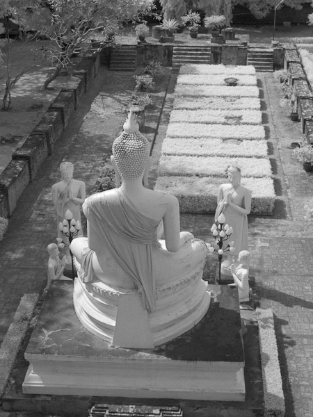 Thailand_OctNovDec_2010_Ayutthaya_Infrared_2692.jpg