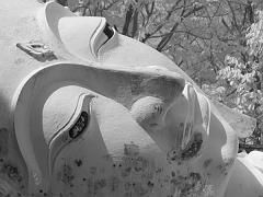 Thailand_OctNovDec_2010_Ayutthaya_Infrared_2662